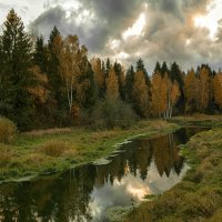 Река Истра :: Елена 