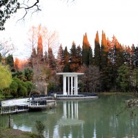 В парке Дендрарий :: Валерий 