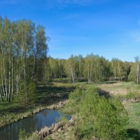 Небесная синь. :: Николай 