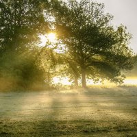 ****** :: Андроник Александр 