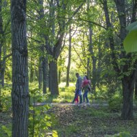 В ботаническом  саду Н В Багрова :: Валентин Семчишин