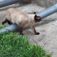 Гусев :: Галина Минчук