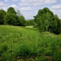 Весенний пейзаж. :: Lucy Schneider 