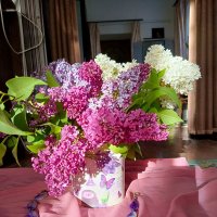 Натюрморт :: Татьяна Пальчикова Натюрморт :: Татьяна Пальчикова