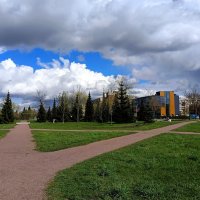 На распутье... :: Мария Васильева