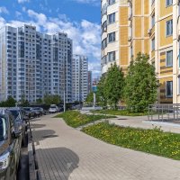 На газонах одуванчики :: Валерий Иванович