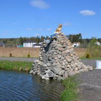 Московская область. г. Пушкино. Осетровая ферма. :: Наташа *****