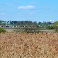 Московская область. г. Пушкино. Осетровая ферма. :: Наташа ***** Московская область. г. Пушкино. Осетровая ферма. :: Наташа *****