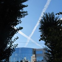 ПРО Екатеринбург :: Елена Шаламова ПРО Екатеринбург :: Елена Шаламова