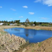 Московская область. г. Пушкино. Осетровая ферма. :: Наташа *****