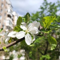 ,,, :: Сергей Тимоновский