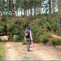 *** :: Aleksandr Gal