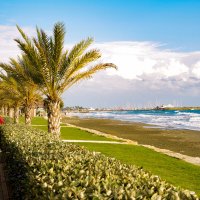 Прогулка :: Oleg4618 Шутченко Прогулка :: Oleg4618 Шутченко