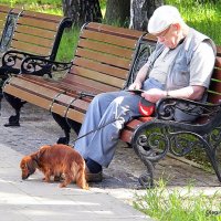 с собачкОЙ :: Олег Лукьянов