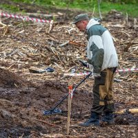 *** :: Анатолий. Chesnavik.