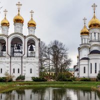 Никольский женский монастырь г. Переславь-Залесский :: But684 