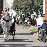 а оленя лучше :: Олег Лукьянов а оленя лучше :: Олег Лукьянов