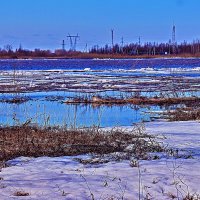 Май...Ледоход на Юганской Оби! :: Владимир 