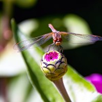 Весна :: Виктор Орехов