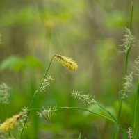 ___ :: Yuriy V ___ :: Yuriy V