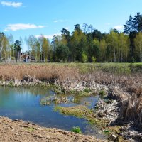 Московская область. г. Пушкино. Осетровая ферма. :: Наташа *****