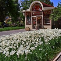 *** :: Игорь Kуленко