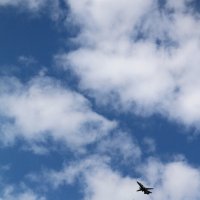 Репетиция парада :: Ольга Репетиция парада :: Ольга