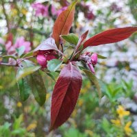 ,,, :: Сергей Тимоновский