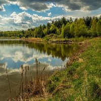 Майское утро V :: Андрей Дворников