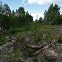 Раны затягиваются... :: Николай Гирш