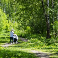 Прогулка на природе :: Геннадий Фадеев