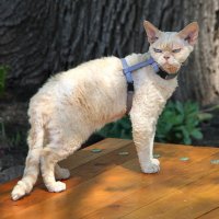 ** :: Vlad Сергиевич