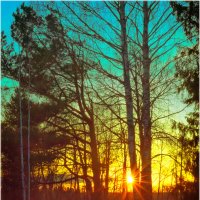 Солнце садится :: Валентин Котляров