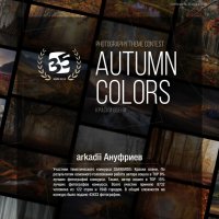 Итоги 2024 (кажется, всё) :: arkadii 