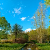 Май в Подмосковье :: Леонид Иванчук