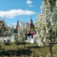 Ни дня без цветущего Зарядья. :: Татьяна Помогалова Ни дня без цветущего Зарядья. :: Татьяна Помогалова