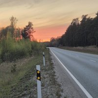 На обочине... :: Нина. Ру