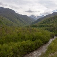 Ингушетия. Ассинское ущелье :: Gen 