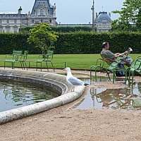 Париж. :: Владимир Драгунский Париж. :: Владимир Драгунский