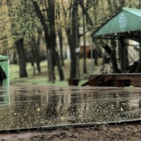 зелень мая :: Любовь 