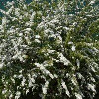 Московская область. г. Пушкино. Осетровая ферма. :: Наташа *****