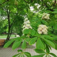 ,,, :: Сергей Тимоновский