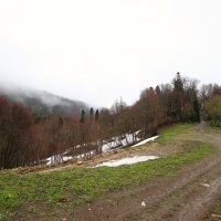 Адыгея, Яворова поляна :: Evgeny Mameev