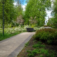 Лавочка для отдыха на улице :: Александр Синдерёв