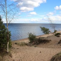 Ладожское Озеро :: Наталья Герасимова