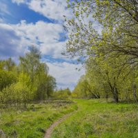 Под небом мая... :: Владимир Жданов