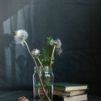 с одуванчиками :: Лера 