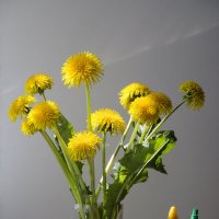 Маленькие " солнышки" для души :: Елена Пономарева