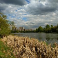 * * * :: Андрей Лукьянов