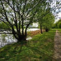 * * * :: Андрей Лукьянов